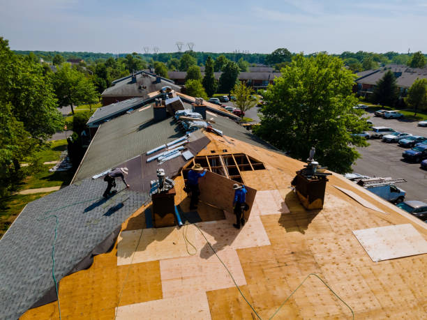 Quick and Trustworthy Emergency Roof Repair Services in Nederland, CO